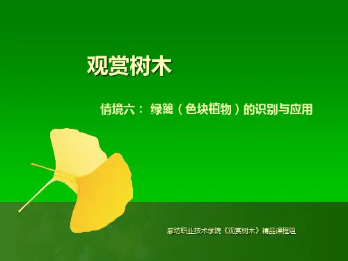 6绿篱(色块植物)的识别与应用