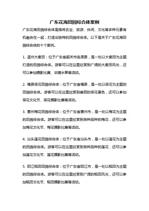 广东花海田园综合体案例