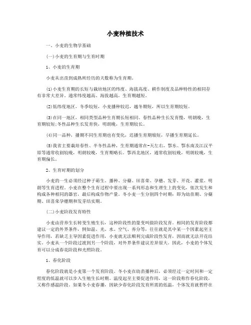 小麦种植技术