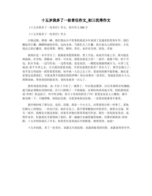 十五岁我多了一份责任作文_初三优秀作文