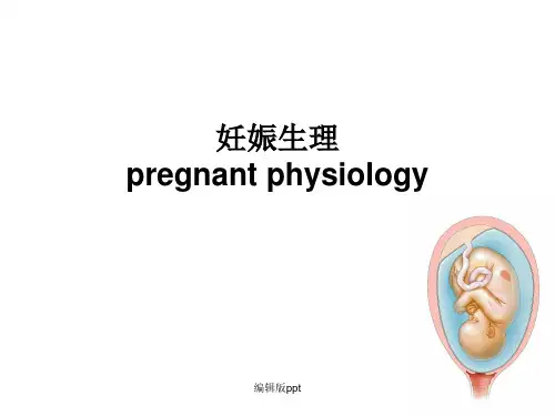 妊娠生理PPT课件