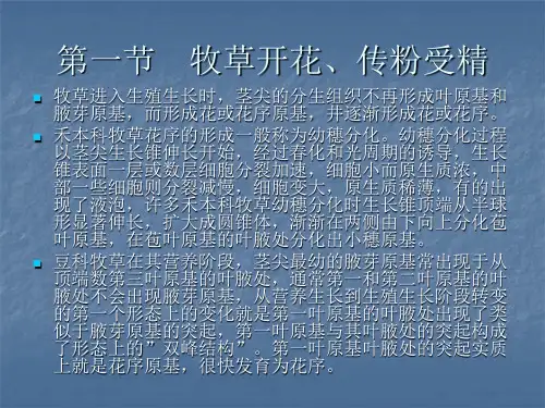 牧草种子学第三章牧草种子的形成发育