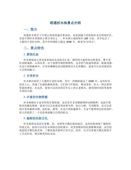 昭通杉木林景点介绍