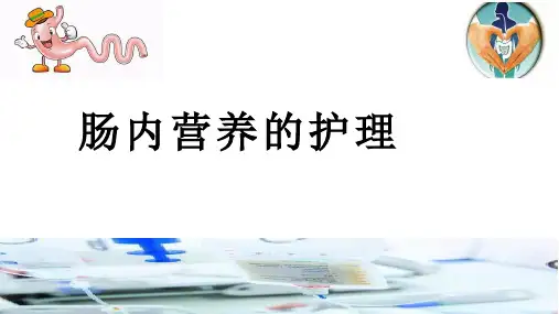 肠内营养ppt