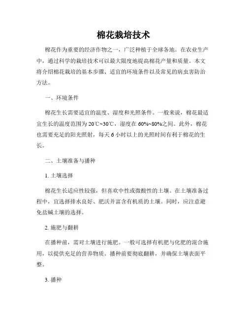 棉花栽培技术