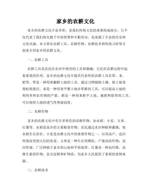 家乡的农耕文化