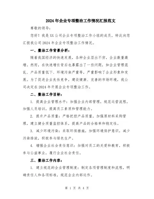 2024年企业专项整治工作情况汇报范文