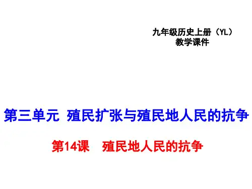 初中历史   殖民地人民的抗争12 岳麓版精品课件