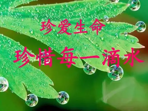 第三节+水资源(30张ppt)