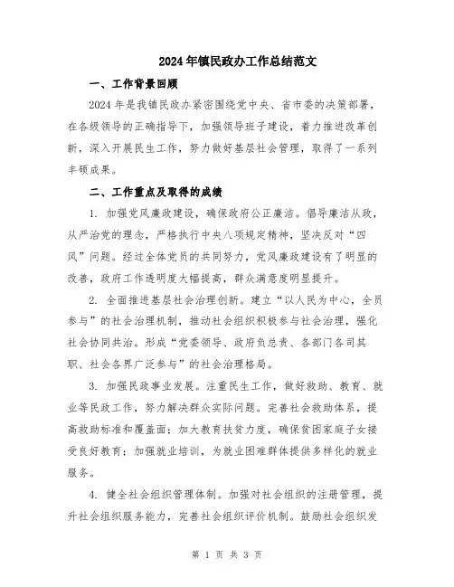 2024年镇民政办工作总结范文