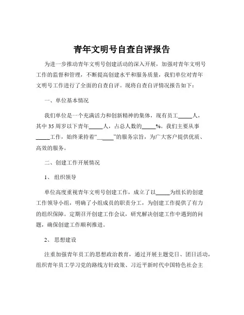 青年文明号自查自评报告