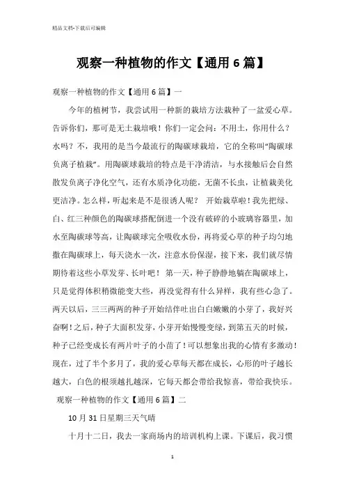 观察一种植物的作文