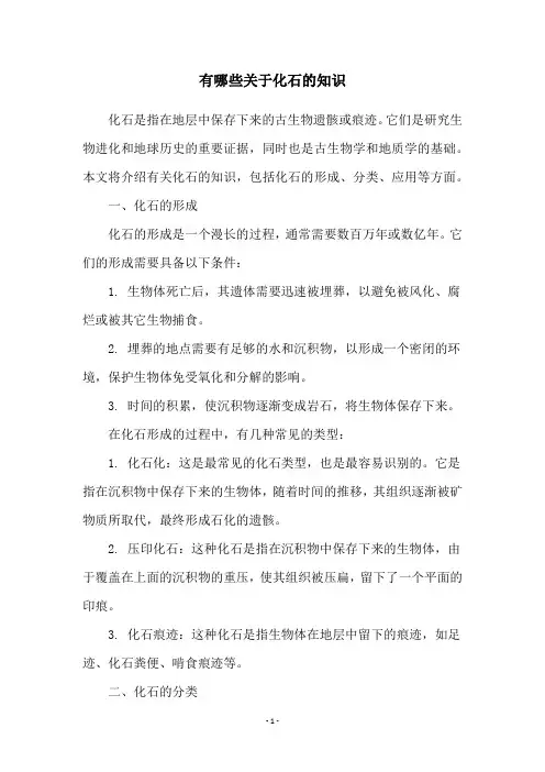 有哪些关于化石的知识