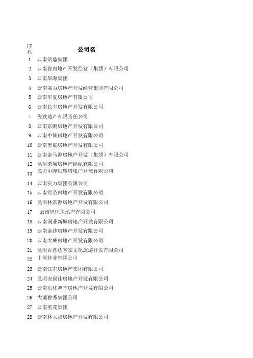 云南地产公司