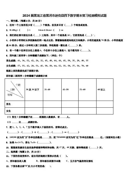 2024届黑龙江省黑河市逊克县四下数学期末复习检测模拟试题含解析