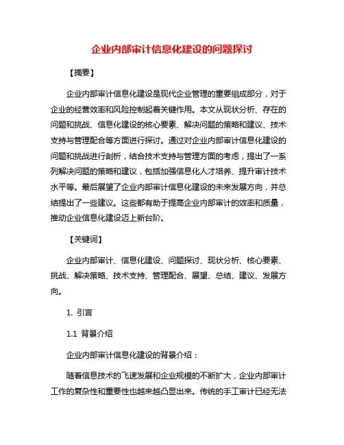 企业内部审计信息化建设的问题探讨