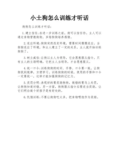 小土狗怎么训练才听话