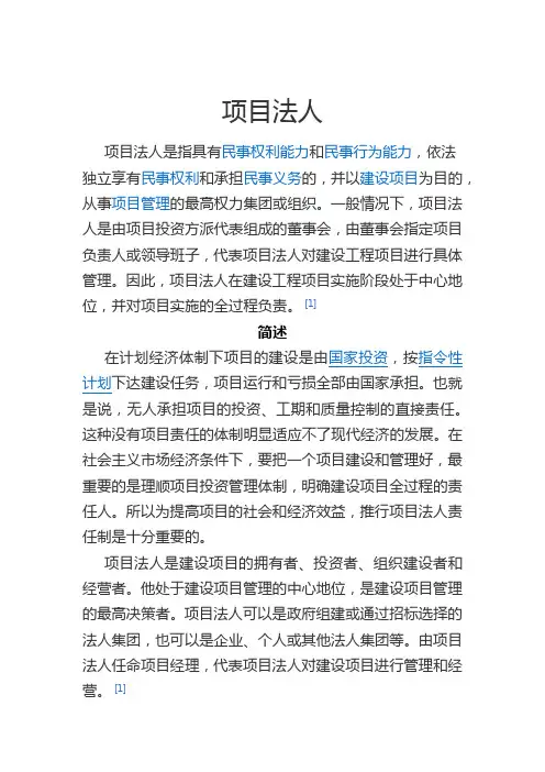 项目法人