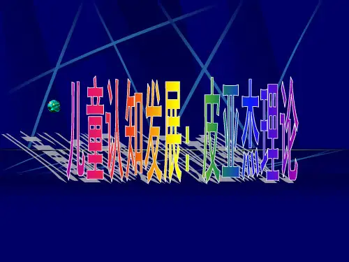 皮亚杰理论(最全)