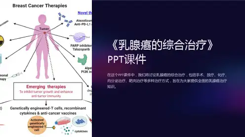 《乳腺癌的综合治疗》课件