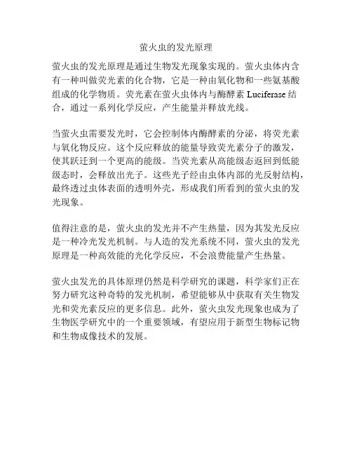 萤火虫的发光原理