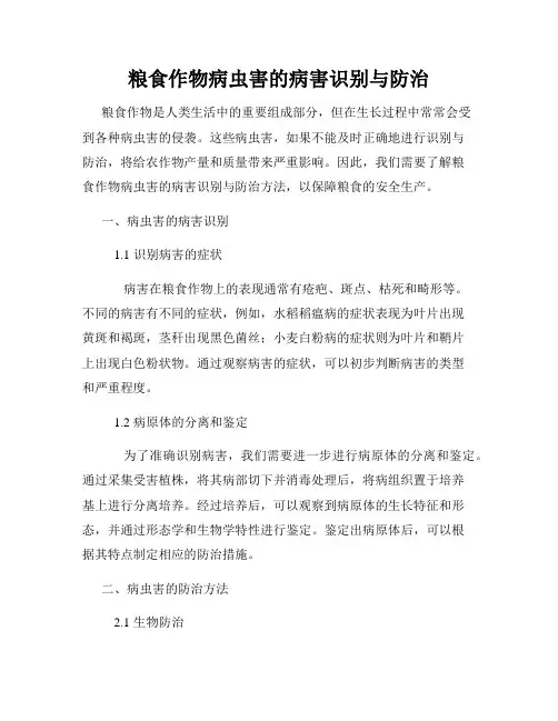 粮食作物病虫害的病害识别与防治