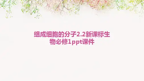 组成细胞的分子2.2新课标生物必修1ppt课件