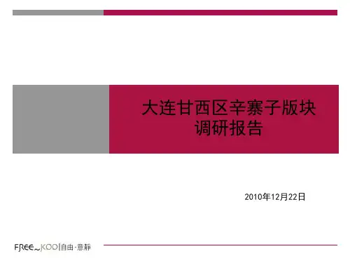 大连辛寨子调研