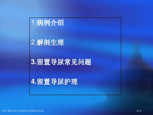 留置气囊导尿管常见问题及护理措施专家讲座