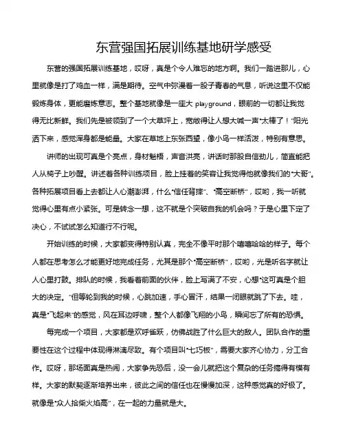 东营强国拓展训练基地研学感受