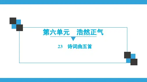 人教版语文九年级同步练习课件下册  第6单元-浩然正气  23 诗词曲五首