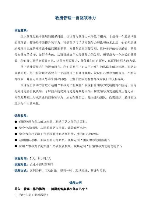 《敏捷管理——自驱领导力》