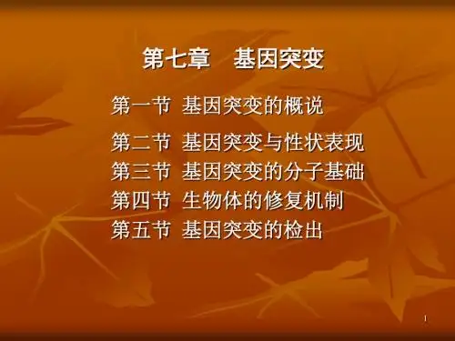 医学遗传学第七章基因突变