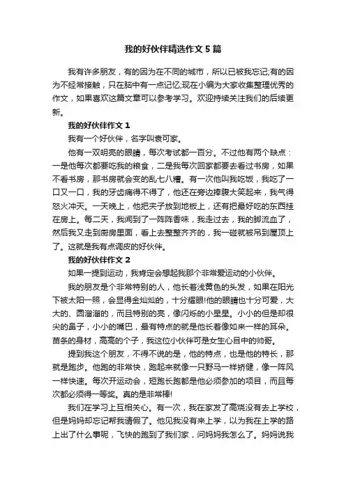 我的好伙伴精选作文5篇