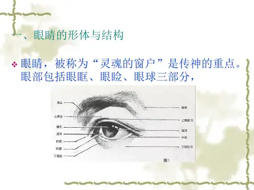人的五官ppt课件