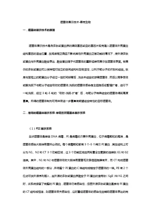 噬菌体展示技术