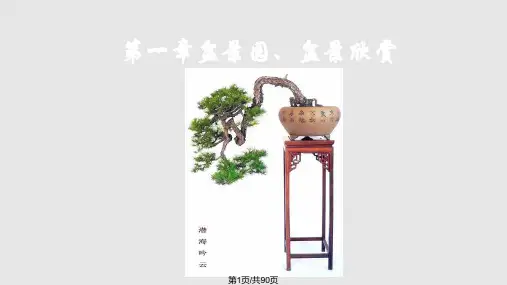 盆景园盆景欣赏1模板PPT课件