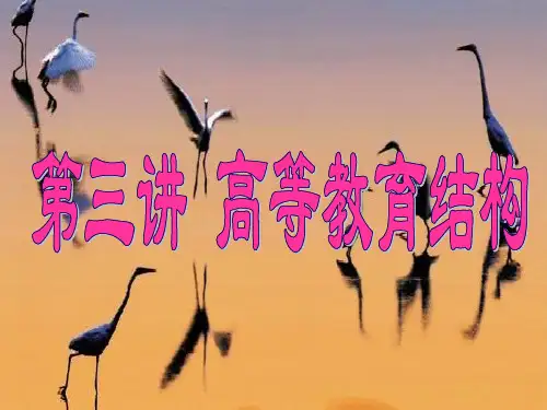 第3讲.高等教育结构 PPT