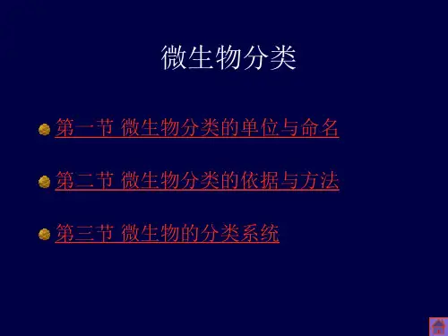 微生物分类