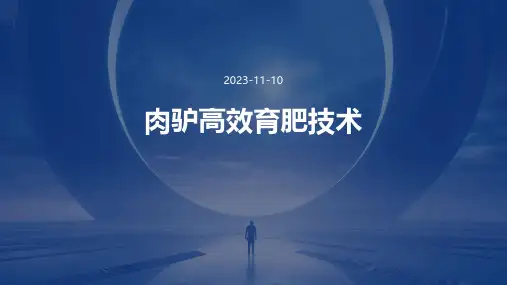 肉驴高效育肥技术