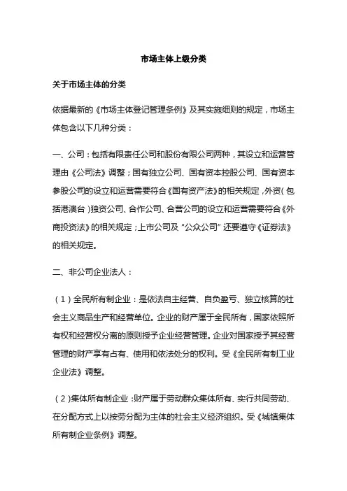 市场主体上级分类