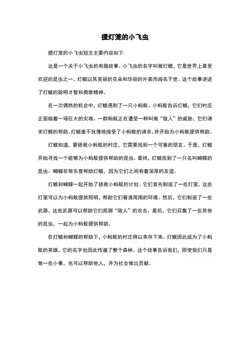 提灯笼的小飞虫