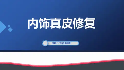 汽车美容与装饰新工艺真皮内饰修复课件
