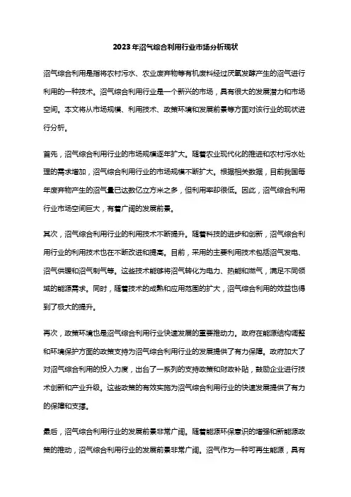 2023年沼气综合利用行业市场分析现状