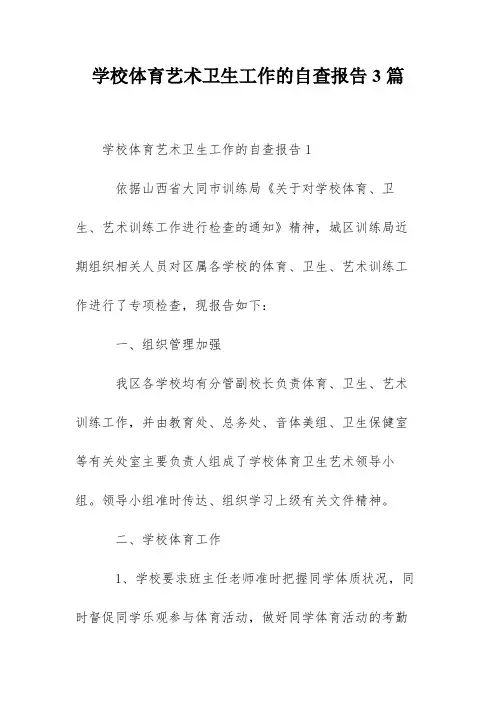 学校体育艺术卫生工作的自查报告3篇