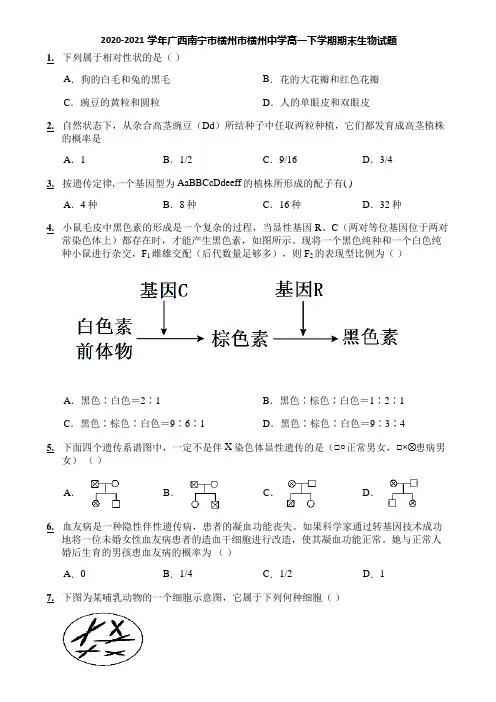 2020-2021学年广西南宁市横州市横州中学高一下学期期末生物试题