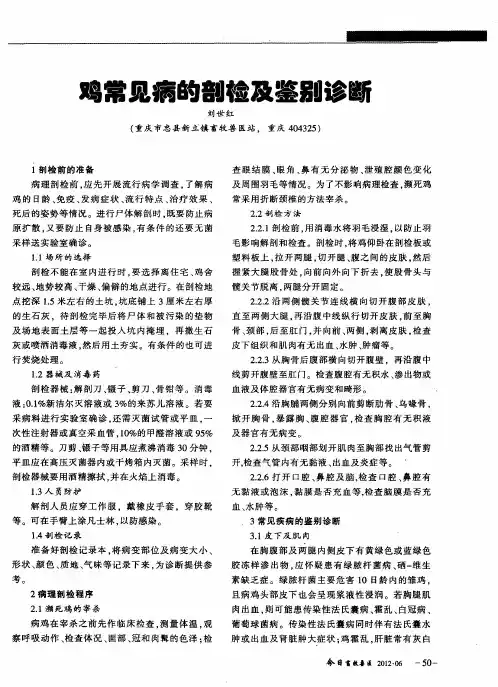 鸡常见病的剖检及鉴别诊断