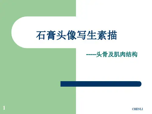 石膏头像素描写生终版PPT课件
