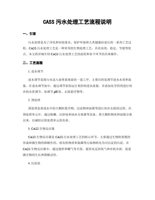 CASS污水处理工艺流程说明