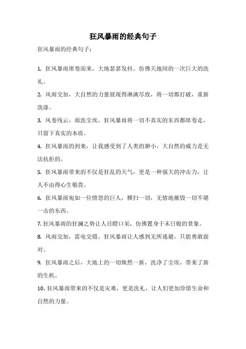 狂风暴雨的经典句子